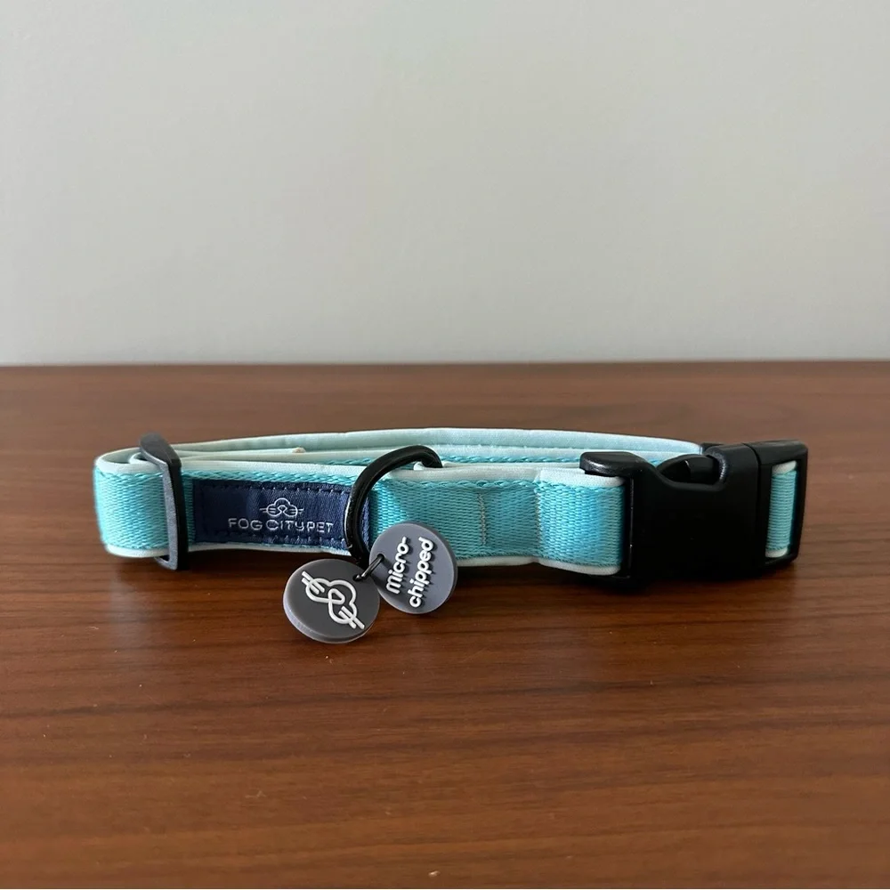 Fog City Pet Light Blue Daily Wear Dog Collar